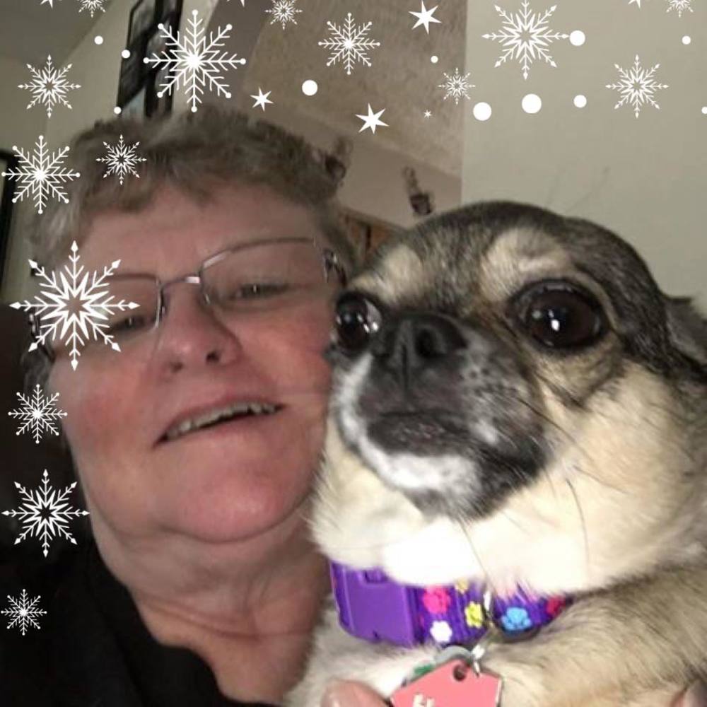 Meet your Posher, Karen
